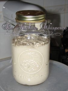 Sourdough Starter – Recap