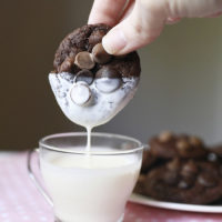 Double Chocolate Occasion Cookies for every cookie occasion!