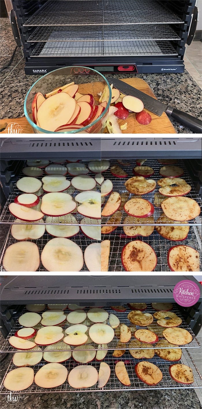 Healthy, Easy & Delicious Homemade Dehydrated Apple Chips!