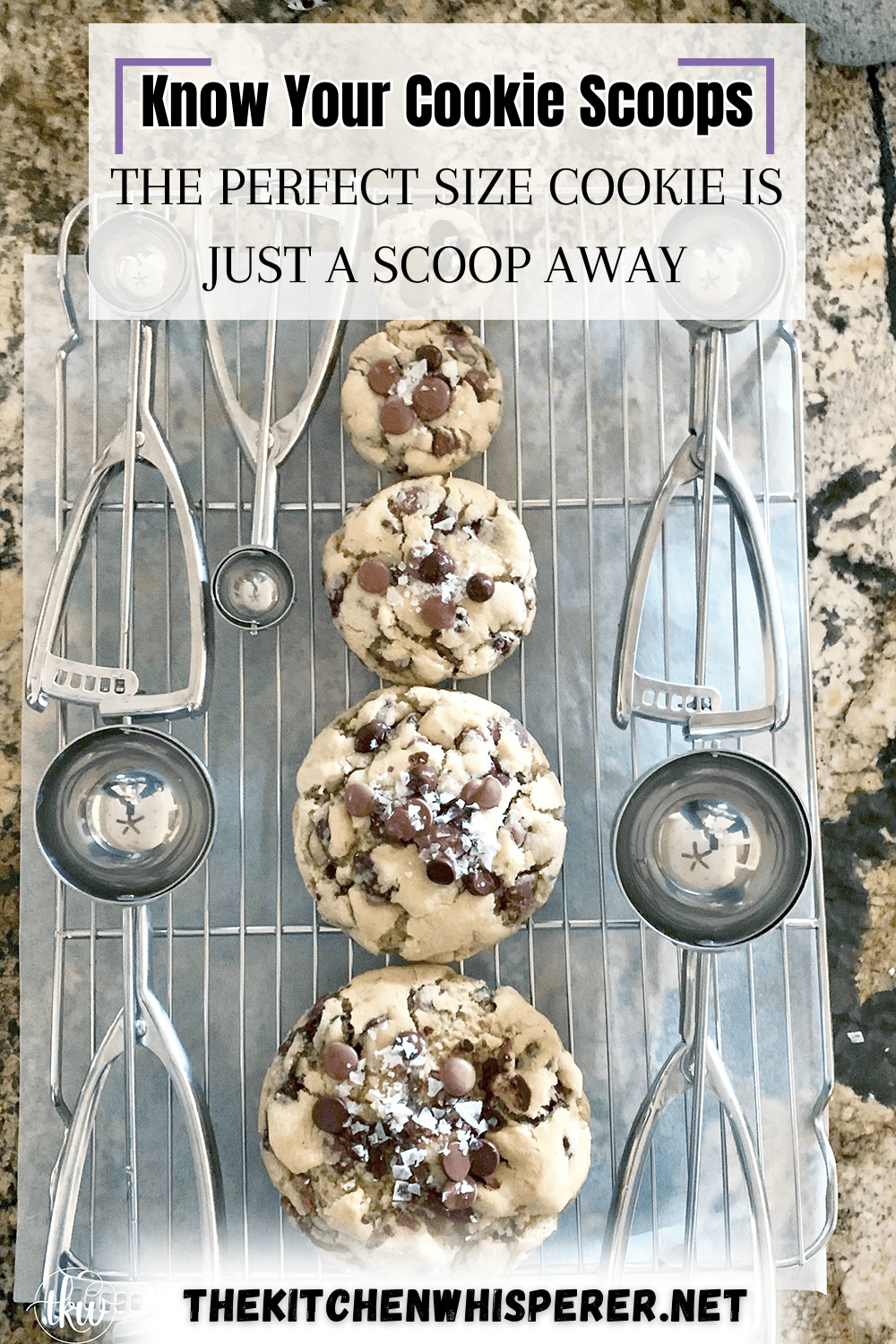 Jenaluca Cookie Scoop Set - Cookie Scoops for Baking